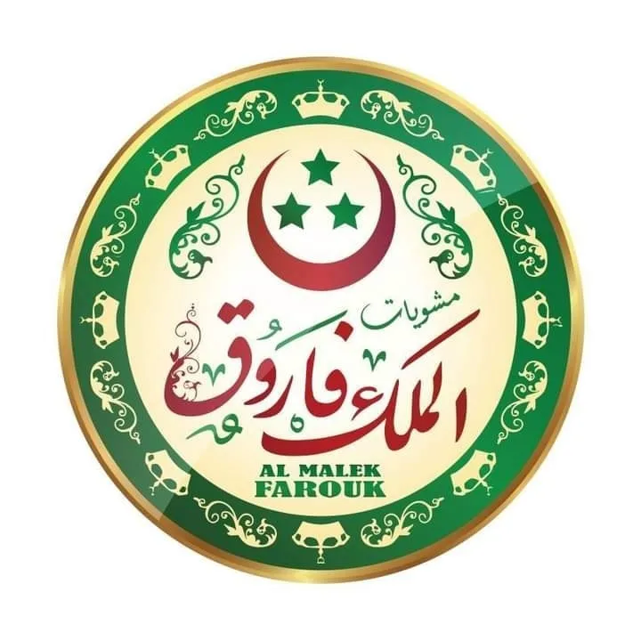 malekfaroukFutureCity logo